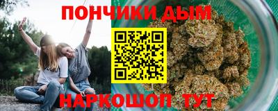 apvp Кингисепп