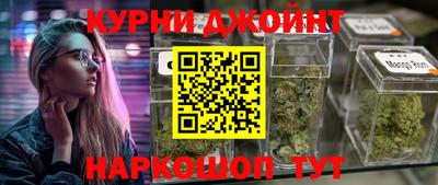 apvp Кингисепп