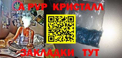 apvp Кингисепп