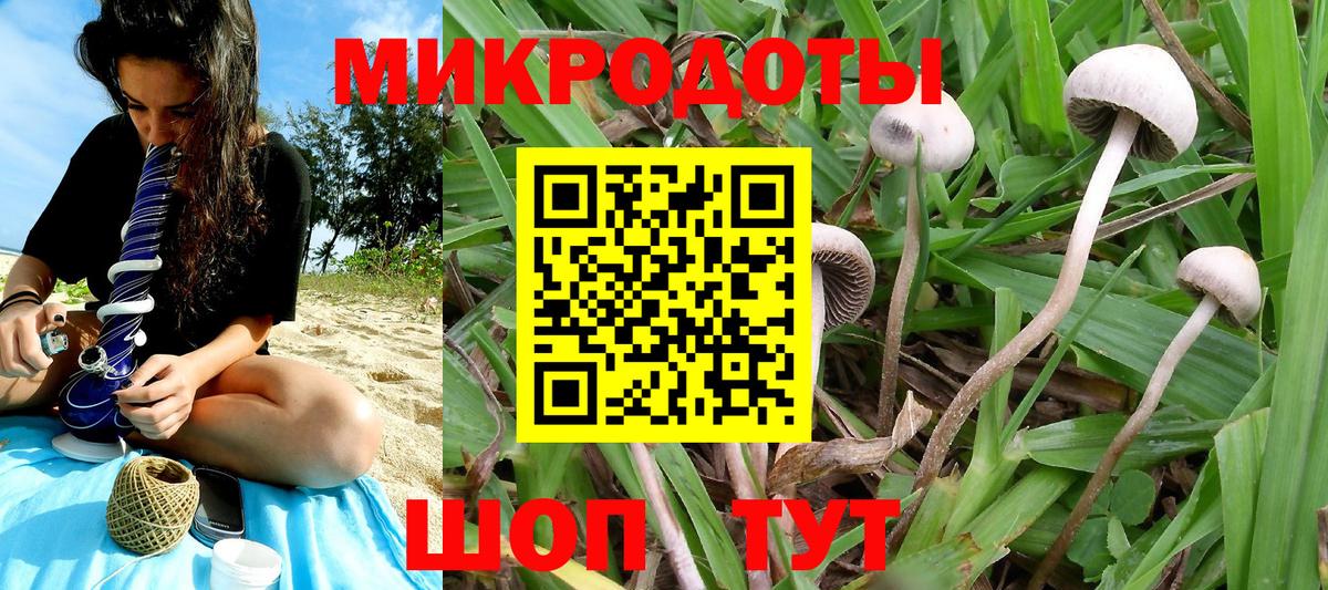 Шатура  Псилоцибиновые грибы прущие грибы  Вход с VPN  Галлюциногенные грибы Magic Shrooms 