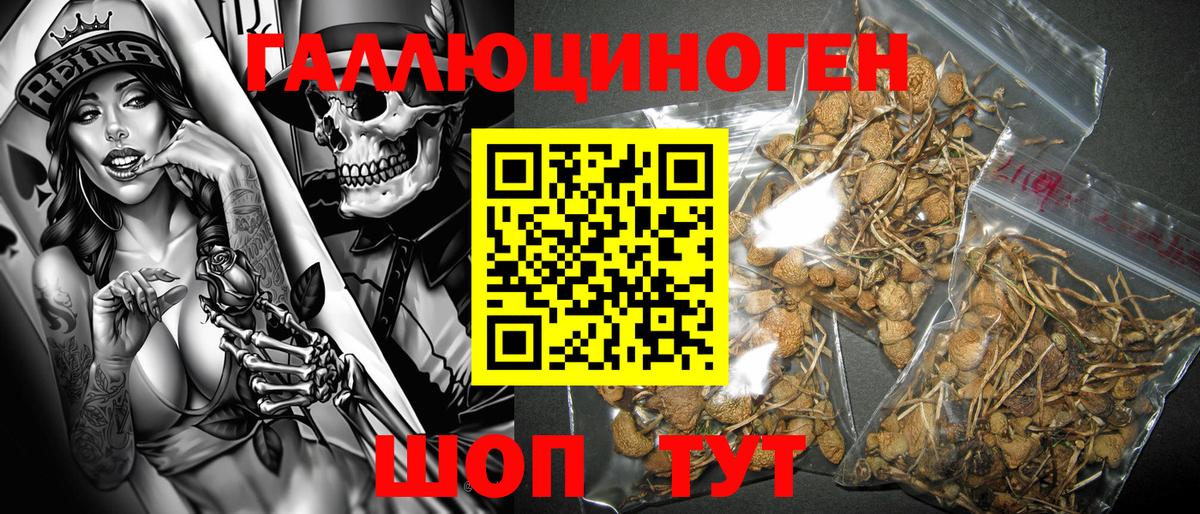 Галлюциногенные грибы мухоморы  Шатура 
